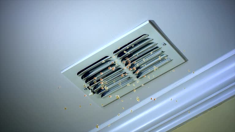 Best Affordable HVAC Duct Cleaning  in East Kapolei, HI