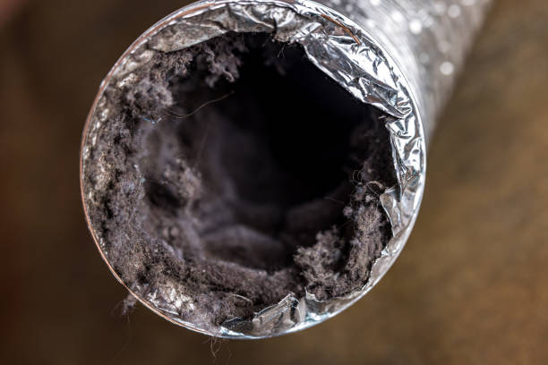 Best Home Air Vent Cleaning  in East Kapolei, HI