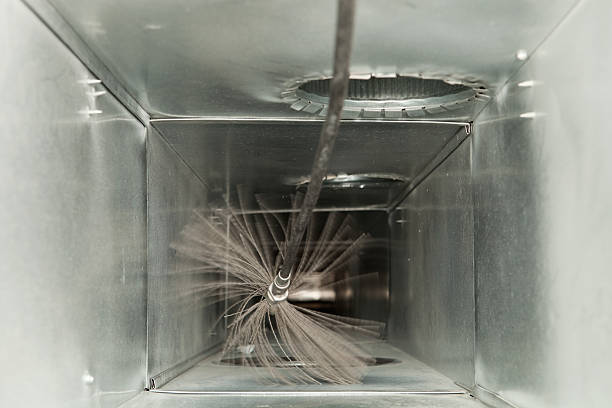 Air Duct Mold Removal in HI