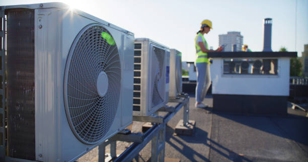 Best Air Duct Mold Removal  in East Kapolei, HI