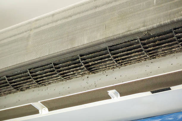 Best HVAC System Cleaning  in East Kapolei, HI